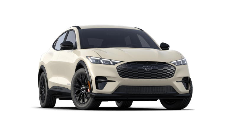 Mustang Mach-E® vehicle